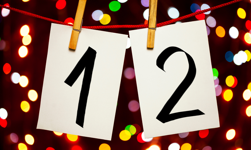 2024's Quantum Error Correction Highlights (aka the 12 Days of QEChristmas)