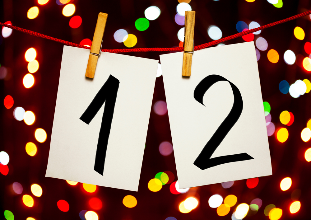 2024's Quantum Error Correction Highlights (aka the 12 Days of QEChristmas)