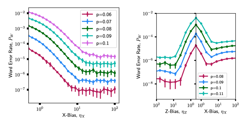 Bias-tailored quantum LDPC codes