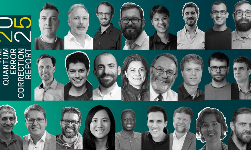 What do the quantum experts really think of QEC?