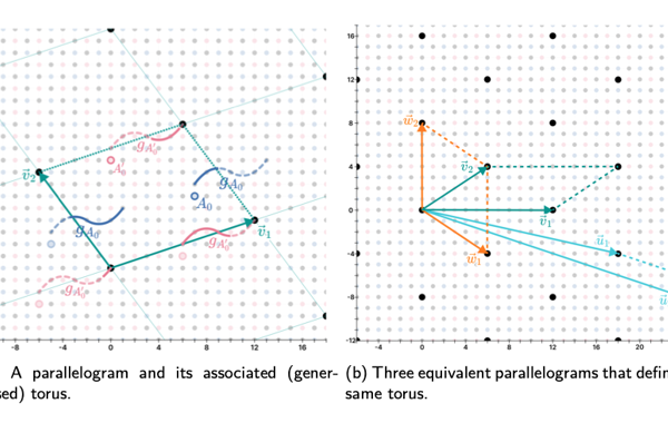 Directional Codes: a new family of quantum LDPC codes on hexagonal- and square-grid connectivity hardware