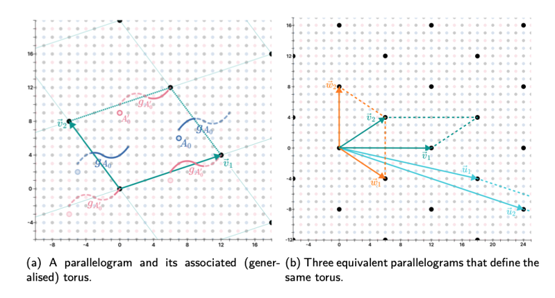 Directional Codes: a new family of quantum LDPC codes on hexagonal- and square-grid connectivity hardware